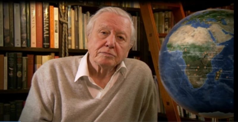 David Attenborough.